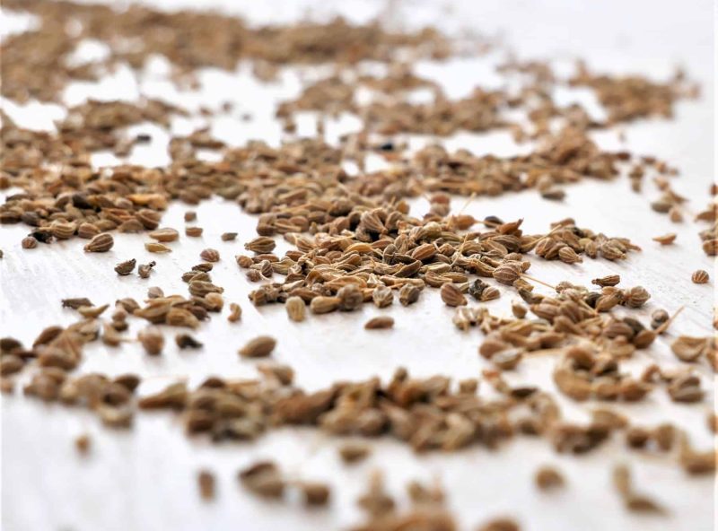 3 Sweet Aniseed jar gallery 3 Sweet Aniseed jar gallery