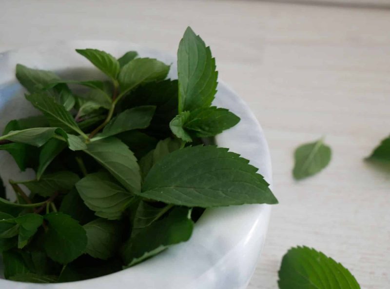 6gallery Sweet Mint Charcoal jar 6gallery Sweet Mint Charcoal jar