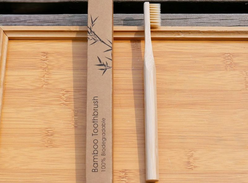 1 Adult Toothbrush 1 Adult Toothbrush